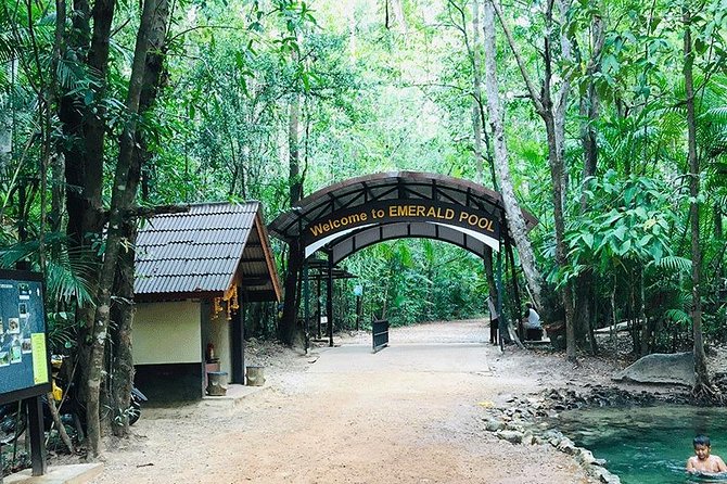 Half Day Jungle Tour to Emerald pool and Krabi Hot Spring - Who will get the most from this tour
