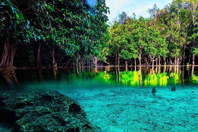 Half Day Jungle Tour to Emerald pool and Krabi Hot Spring - Emerald Pool: a forest walk with a clear reward