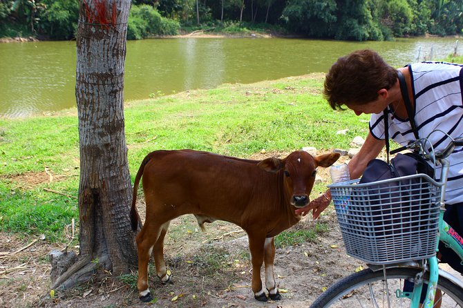 Half Day Ride Bike To The Farm and Cooking Activity with Foot Massage - Who will enjoy this Hoi An day?