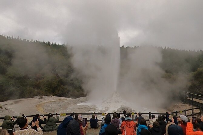 Half-Day Tour - Ex Rotorua: WAI-O-TAPU Thermal Wonderland - Lady Knox Geyser and the scheduled eruption