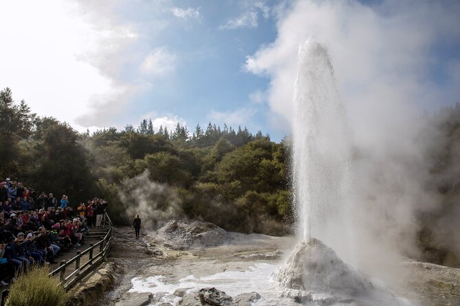 Half-Day Tour - Ex Rotorua: WAI-O-TAPU Thermal Wonderland - The Wai-O-Tapu Mud Pool