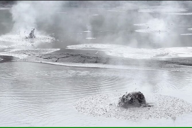 Half-Day Tour - Ex Rotorua: WAI-O-TAPU Thermal Wonderland - What the $107 price really covers