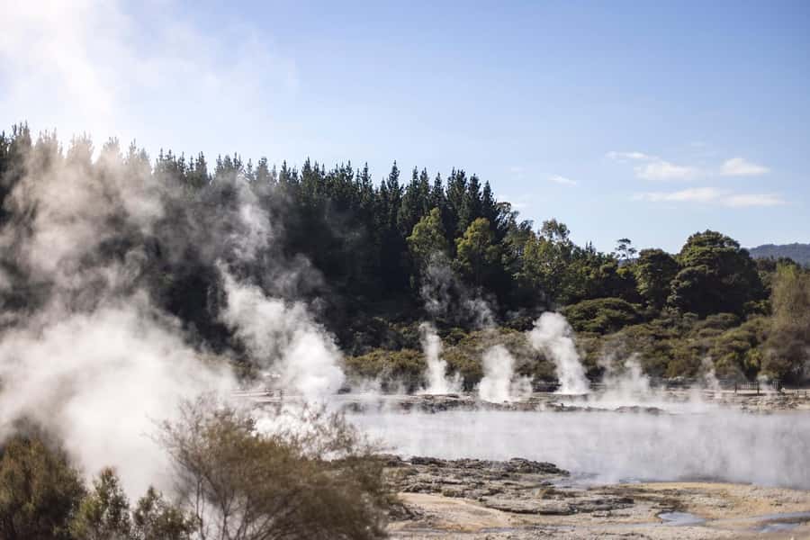 HELL'S GATE Mud Spa, Rotorua - Group Day Tour Ex Auckland - Tirau gives the drive a welcome pause
