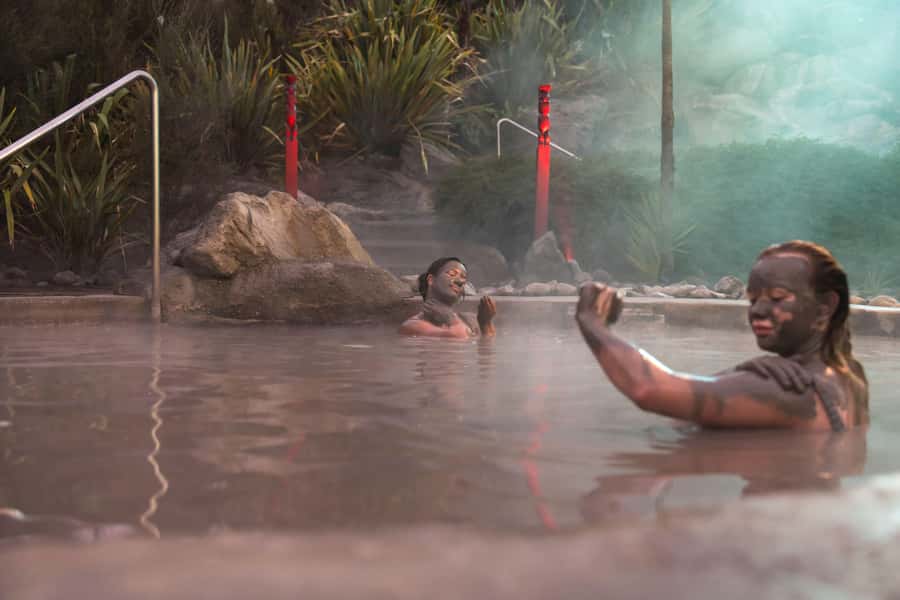 HELL'S GATE Mud Spa, Rotorua - Group Day Tour Ex Auckland - Lunch and the afternoon return to Rotorua