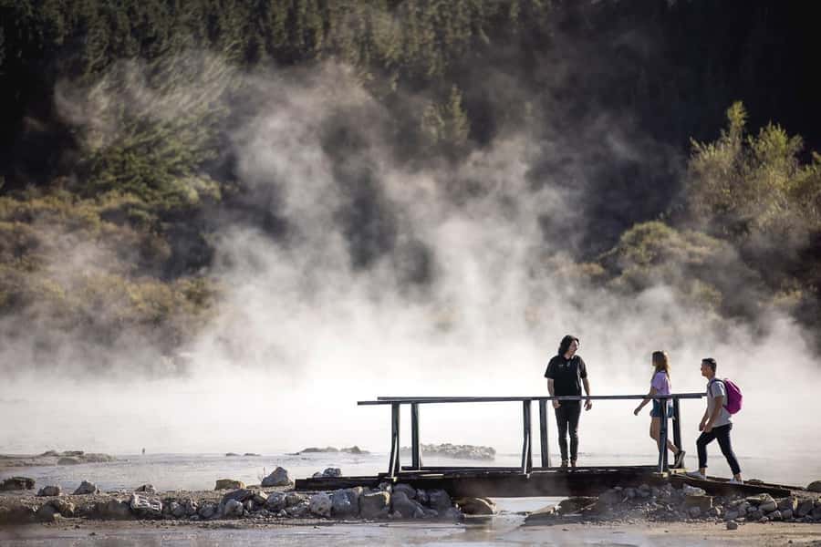 HELL'S GATE Mud Spa, Rotorua - Group Day Tour Ex Auckland - Is $298 good value?