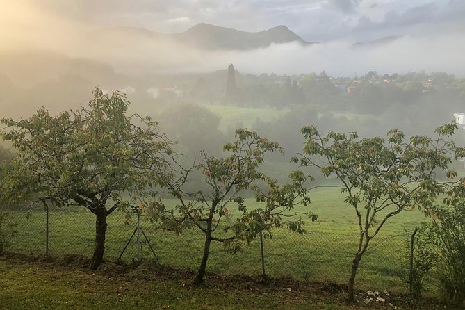 Hiking, eating and relaxing in an 18th century Spa near Oviedo - From Parque de Invierno to the Asturian countryside
