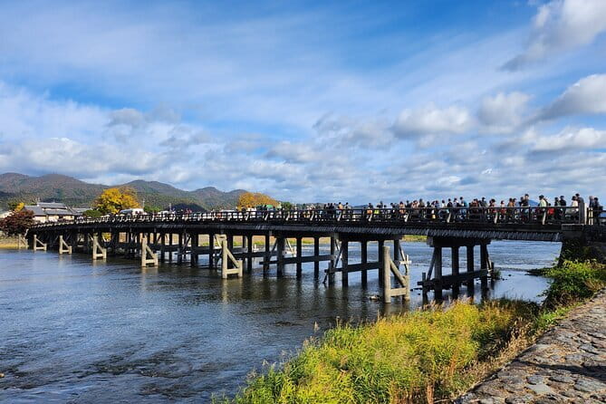 Himeji Castle, Arima Onsen & Mt. Rokko: 1-Day Bus Tour from Osaka - What the bus day feels like