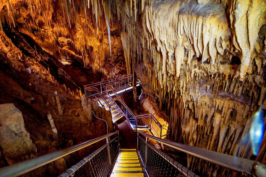 Hobart: Tahune Airwalk, Hastings Cave, Thermal Springs Tour - Key points at a glance