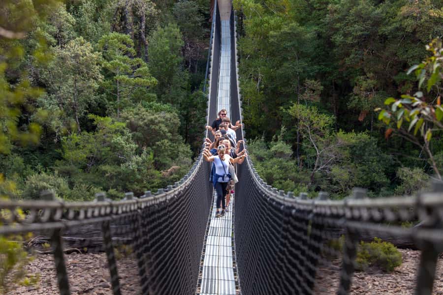 Hobart: Tahune Airwalk, Hastings Cave, Thermal Springs Tour - Why this Hobart day trip works so well