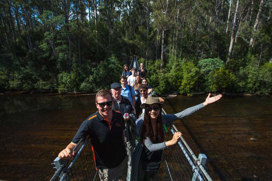 Hobart: Tahune Airwalk, Hastings Cave, Thermal Springs Tour - Hastings Cave, 40 metres below ground