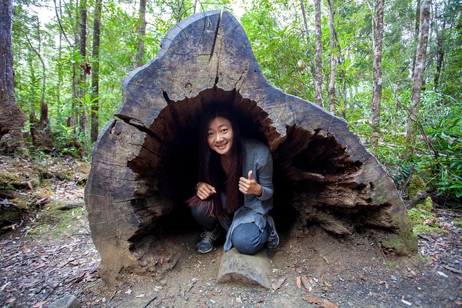 Hobart: Tahune Airwalk, Hastings Caves & Thermal Springs Pool - Why this Hobart day trip works