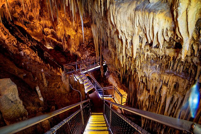 Hobart: Tahune Airwalk, Hastings Caves & Thermal Springs Pool - Tahune Airwalk, with forest views from 40 metres up