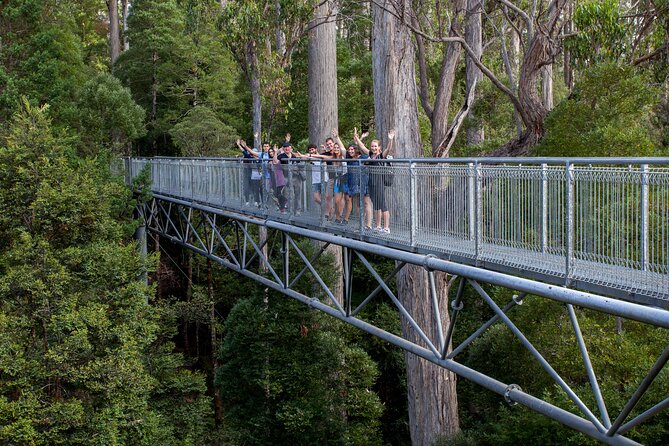 Hobart: Tahune Airwalk, Hastings Caves & Thermal Springs Pool - Huon pines and the Swinging Bridges Walk