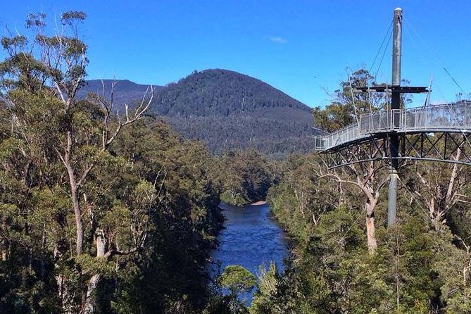 Hobart: Tahune Airwalk, Hastings Caves & Thermal Springs Pool - Hastings Cave, 40 metres below the surface