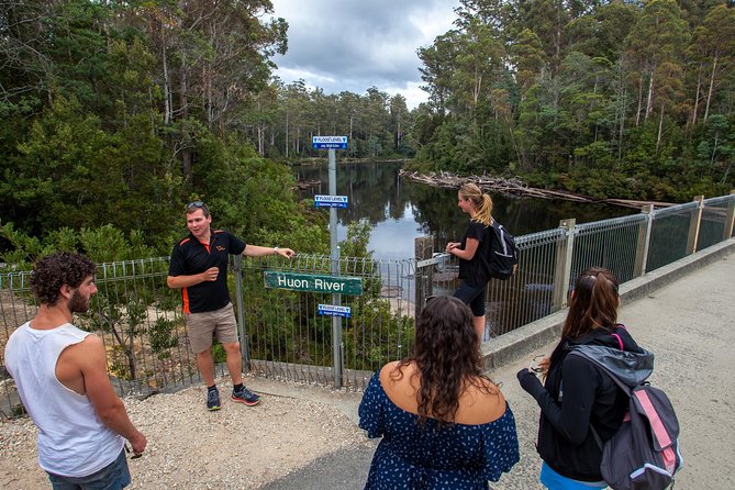 Hobart: Tahune Airwalk, Hastings Caves & Thermal Springs Pool - The thermal pool and Hot Springs Nature Track