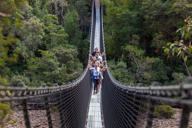 Hobart: Tahune Airwalk, Hastings Caves & Thermal Springs Pool - From Hobart into Tasmania’s Huon Valley
