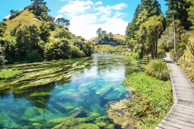 Hobbiton Movie Set Tour to Blue Springs and Mineral Spa - Te Aroha Mineral Spa and the private bath