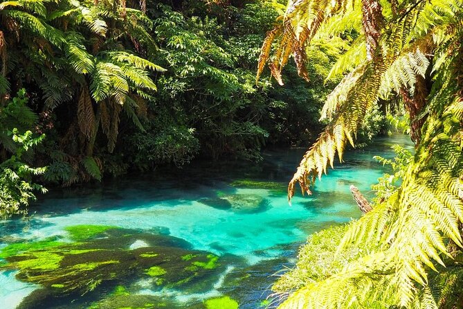 Hobbiton Movie Set Tour to Blue Springs and Mineral Spa - The long drives and the day’s pace