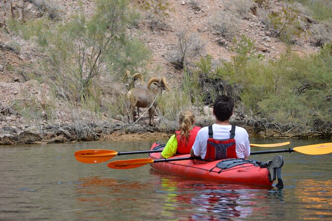 Hoover Dam & Hot Springs Kayak Tour with Lunch & Expert Guide - The 12-mile Colorado River paddle