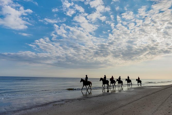 Horse Riding By The Beach With Hammam And Massage - Who should book this Agadir outing?