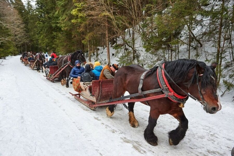 Horse Sleigh 2-3h Ride with Hot Springs or Zakopane Combos - Key points to know before booking