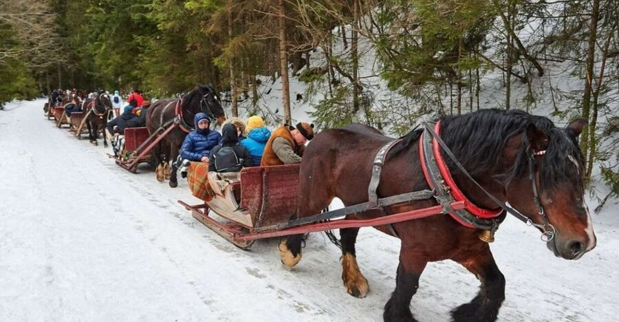 Horse Sleigh 2-3h Ride with Hot Springs or Zakopane Combos - The 2 to 3 hour horse sleigh ride