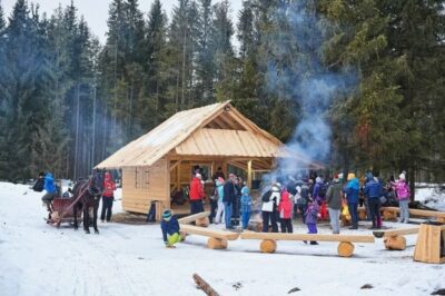 Horse Sleigh 2-3h Ride with Hot Springs or Zakopane Combos