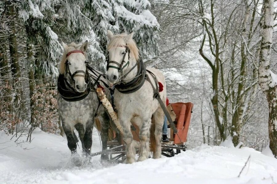 Horse Sleigh 2-3h Ride with Hot Springs or Zakopane Combos - Zakopane and Krupowki Street