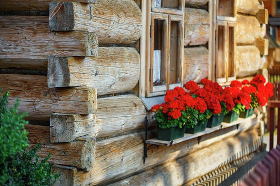 Horse Sleigh 2-3h Ride with Hot Springs or Zakopane Combos - Gubalowka Mountain and the funicular ride