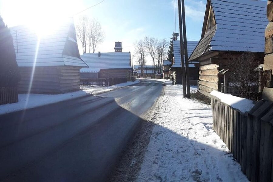 Horse Sleigh 2-3h Ride with Hot Springs or Zakopane Combos - The driver and the long route