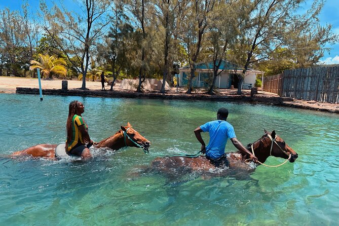 Horseback Ride n Swim & Bamboo Rafting With Limestone Massage - From Montego Bay resorts to Jamaica’s green interior