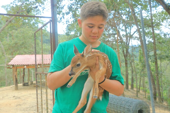 Hot Springs and Villages in the Sierra Madre for 4 hours - What the strongest guide feedback tells you