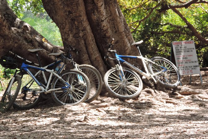 Hot Springs Bike tour - The return to Moshi and the value of the package