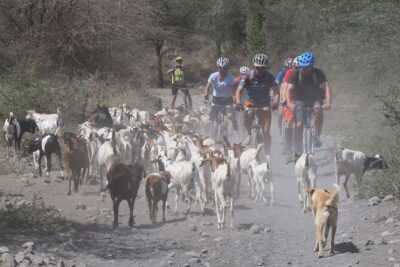 Hot Springs Bike tour