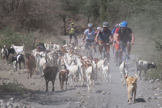 Hot Springs Bike tour - Sugar cane, scrubland, and dry riverbeds