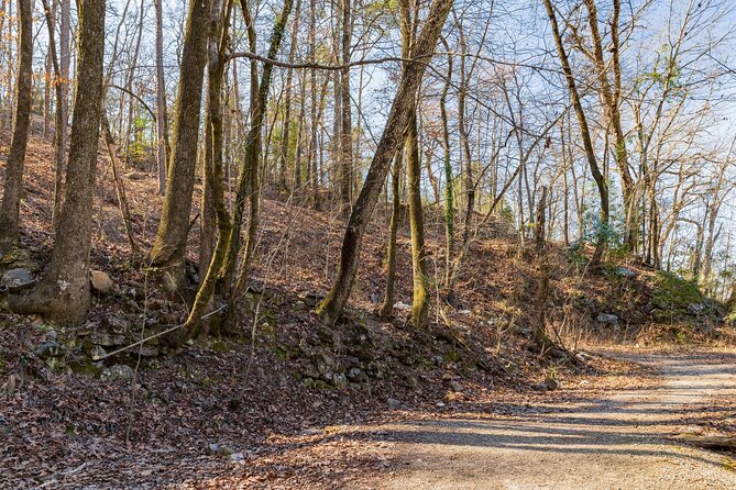 Hot Springs National Park Self Guided Audio Tour - Hot Springs Mountain and the observation tower