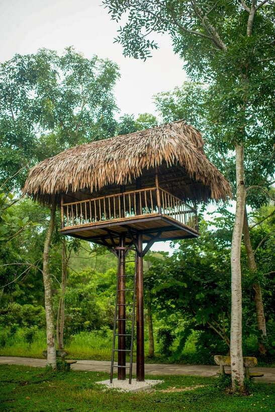 Hue: Full-day Nature’s Bliss From Hot Springs To Zip Line - Is $77 a fair price?