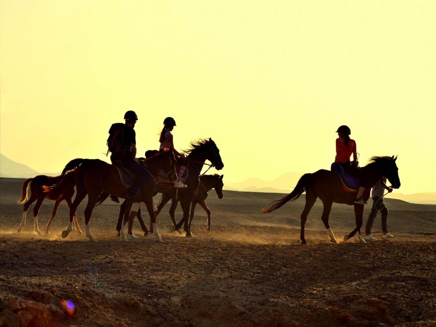 Hurghada: 4 Days Tour Horse, Camel, Spa, ATV, Jeep & Dolphin - Four days, six ways to see Hurghada