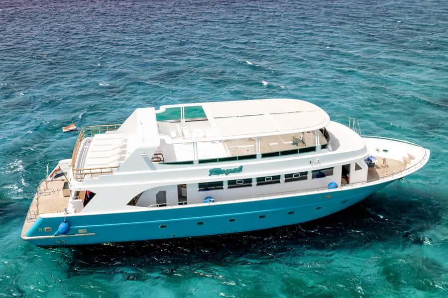 Hurghada: All-Inclusive Elite VIP Dolphin House & Massage - What the crew does well