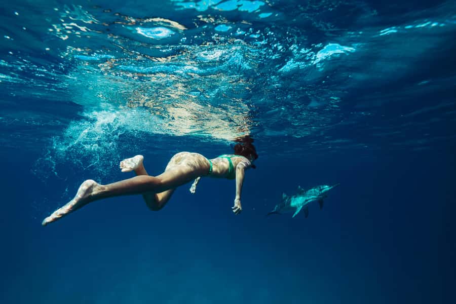 Hurghada: All-Inclusive Elite VIP Dolphin House & Massage - Hotel pickup and the ride to Dolphin House