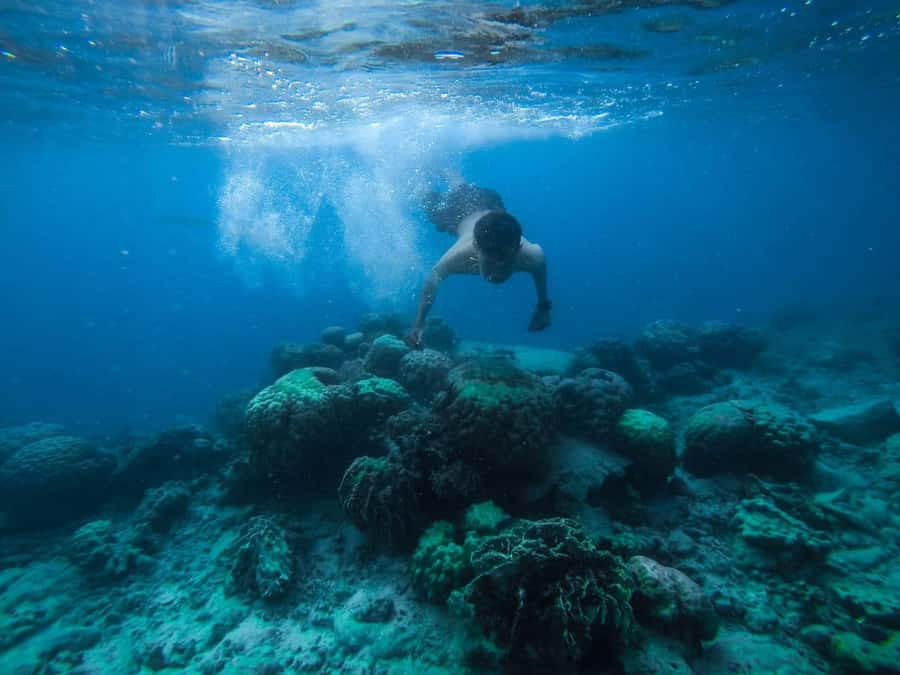 Hurghada:Luxury Diving & Snorkeling inc/Island/Lunch/Massage - The 45-minute cruise to Orange Bay