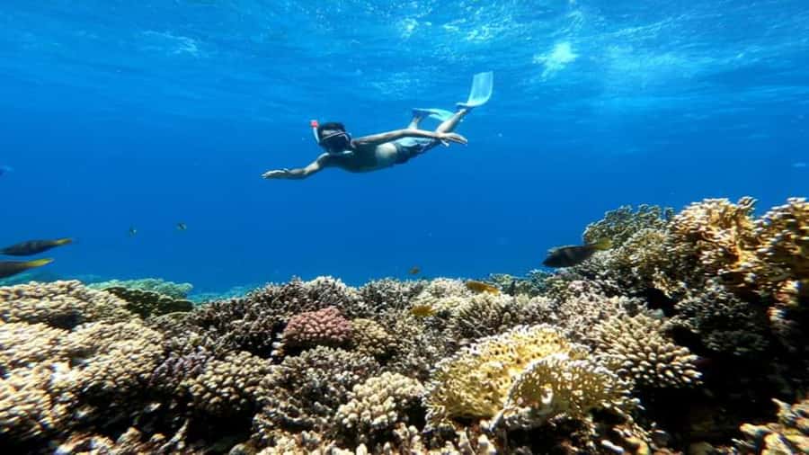 Hurghada: Luxury Giftun island w/snorkeling/lunch & Massage - Crew, languages, and family appeal