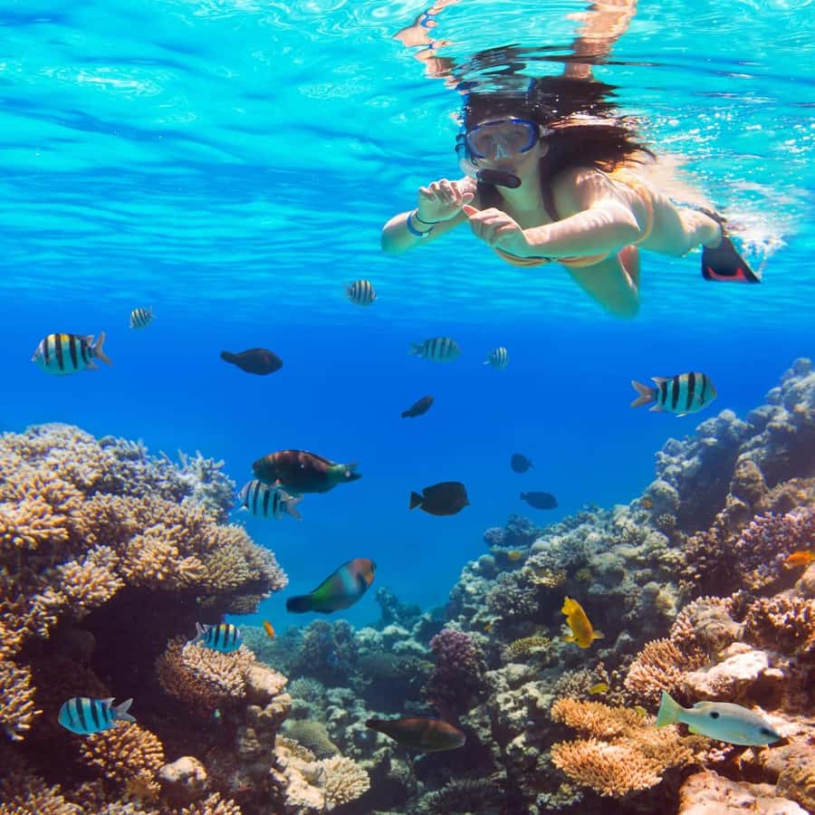 Hurghada: Luxury Giftun island w/snorkeling/lunch & Massage - Giftun Island before the crowds
