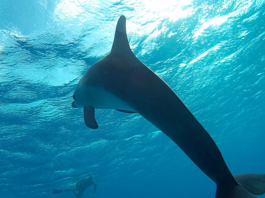 Hurghada: Luxury Orange Bay w/Snorkeling, Massage and Diving - Lunch, drinks, and the food question