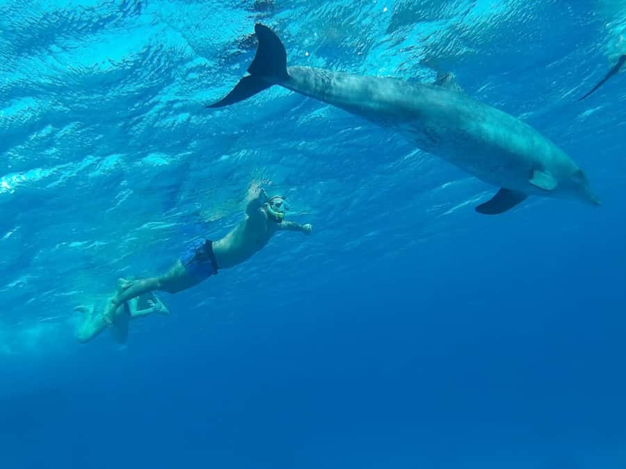 Hurghada: Royal Orange Bay with Massage, Snorkeling & Lunch - First snorkeling stop near Jazāir Jiftūn
