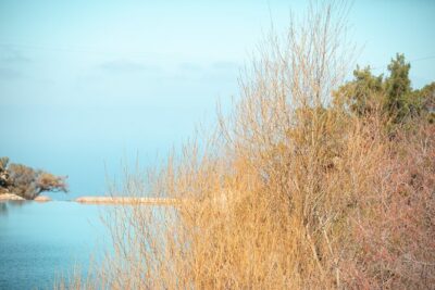 Ikaria Longevity, Family Winery & Wellness