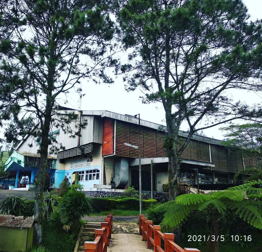 Jakarta: Volcano, Hot Spring, Tea, Rice Fields, &Coffee tour - Why this Jakarta day trip reaches beyond Bandung
