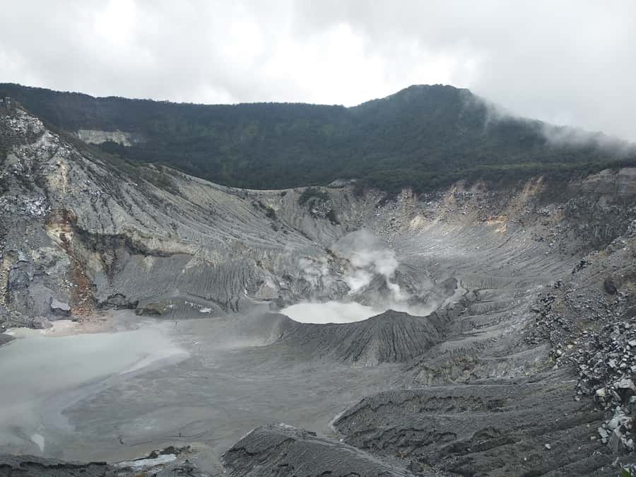 Jakarta: Volcano, Hot Spring, Tea, Rice Fields, &Coffee tour - Rice fields, villages, and a taste of West Java pineapple