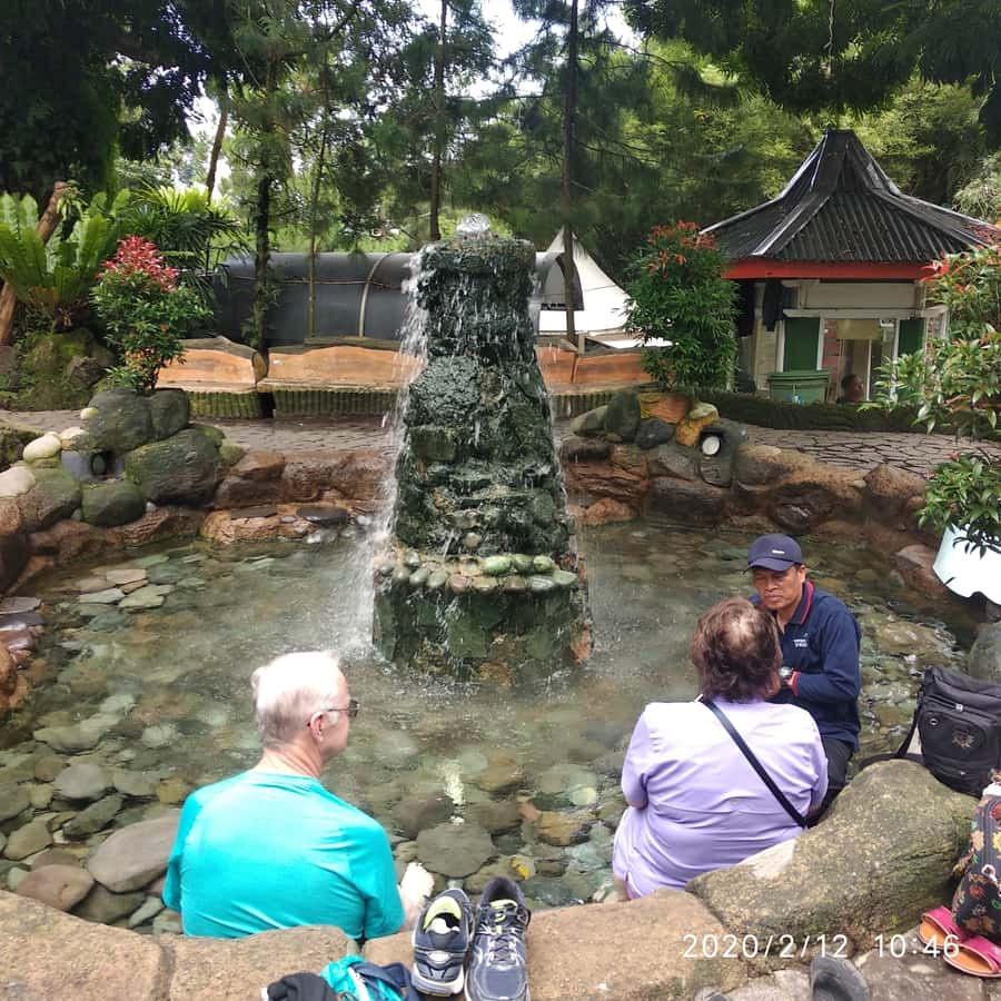 Jakarta: Volcano, Hot Spring, Tea, Rice Fields, &Coffee tour - Kebun Teh Ciater and the making of black tea