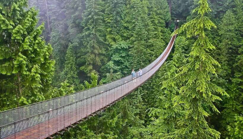 Jakarta: Volcano, Suspension Bridge, and Hot Spring Tour - Key points to know before booking